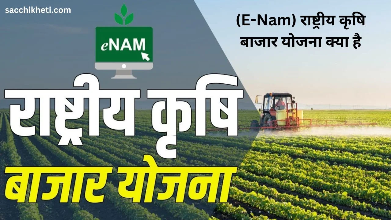 (E-Nam) राष्ट्रीय कृषि बाजार योजना क्या है 2023 | राष्ट्रीय कृषि बाजार योजना के क्या फायदे हैं?