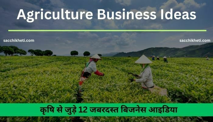कृषि से जुड़े 12 जबरदस्त बिजनेस आइडिया 2023 | Top 12 Agriculture Business Ideas In Hindi