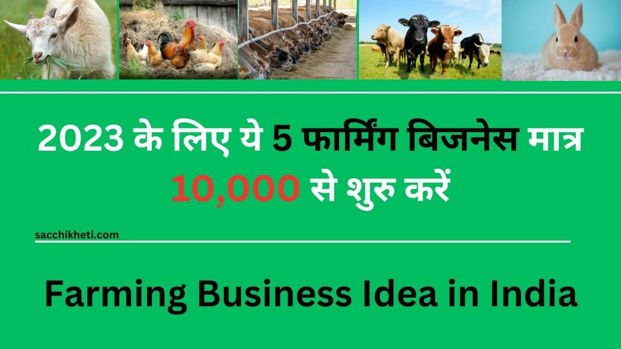 2023 के लिए ये 5 फार्मिंग बिजनेस मात्र 10,000 से शुरु करें | Farming Business Idea in India