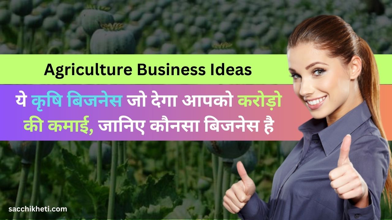 Agriculture Business Ideas: ये कृषि बिजनेस जो देगा आपको करोड़ो की कमाई, जानिए कौनसा बिजनेस है
