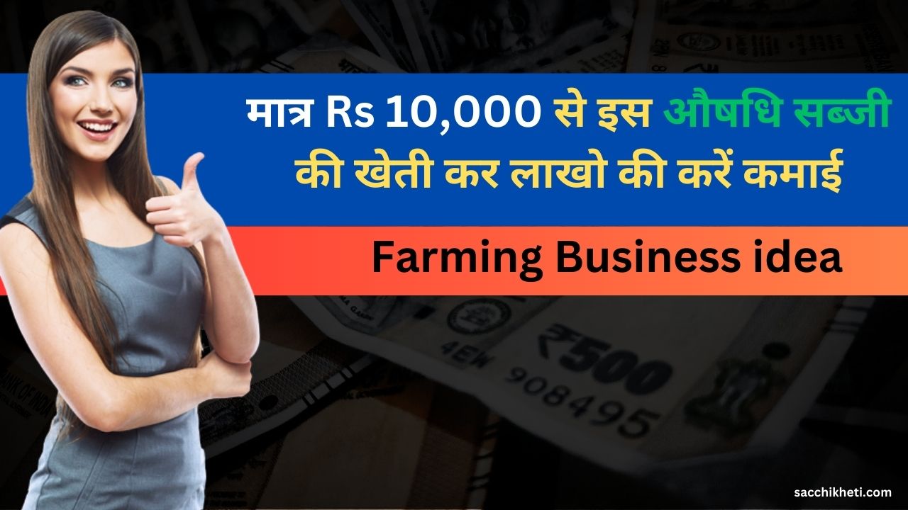 Farming Business idea: मात्र Rs 10,000 से इस औषधि सब्जी की खेती कर लाखो की करें कमाई