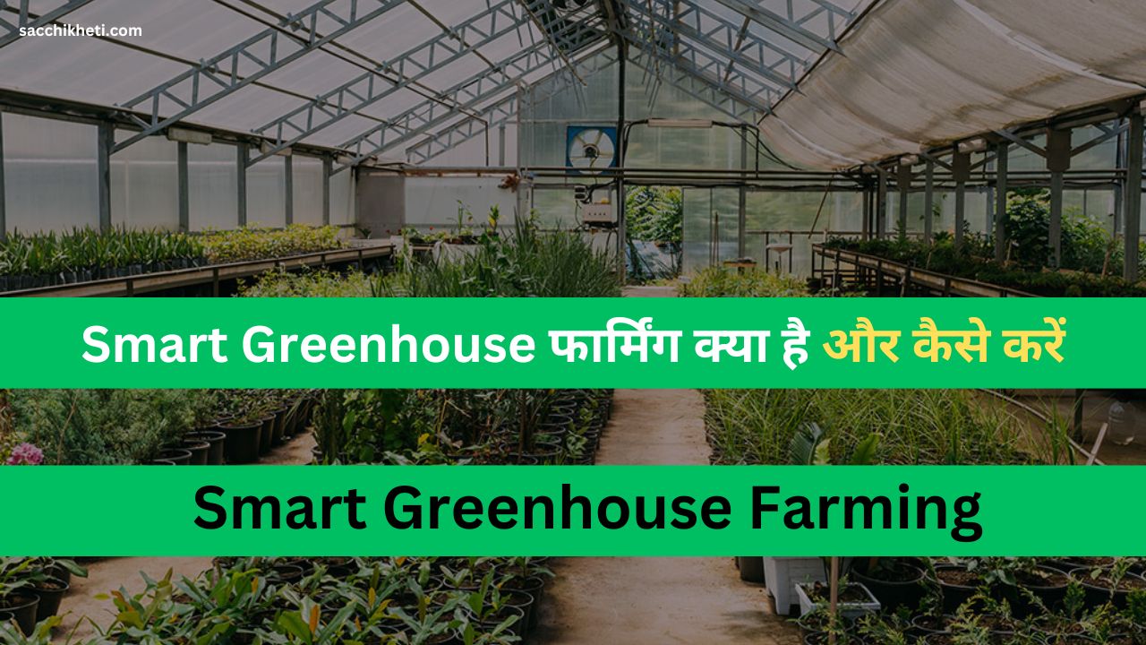 Smart Greenhouse फार्मिंग क्या है और कैसे करें | Smart Greenhouse Farming In Hindi