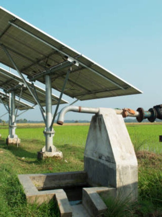 Solar Pump Scheme: 25 हजार में सोलर पंप लगाओ जिंदगी भर कोई बिल नहीं आएगा