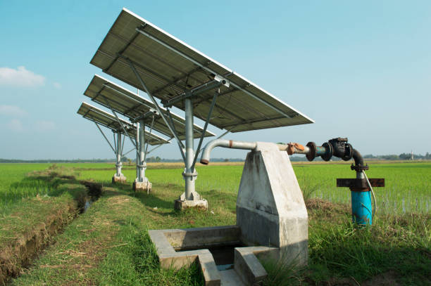 Solar Pump Scheme: 25 हजार में सोलर पंप लगाओ जिंदगी भर कोई बिल नहीं आएगा