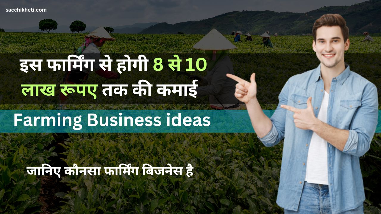 Farming Business ideas: इस फार्मिंग से होगी 8 से 10 लाख रूपए तक की कमाई