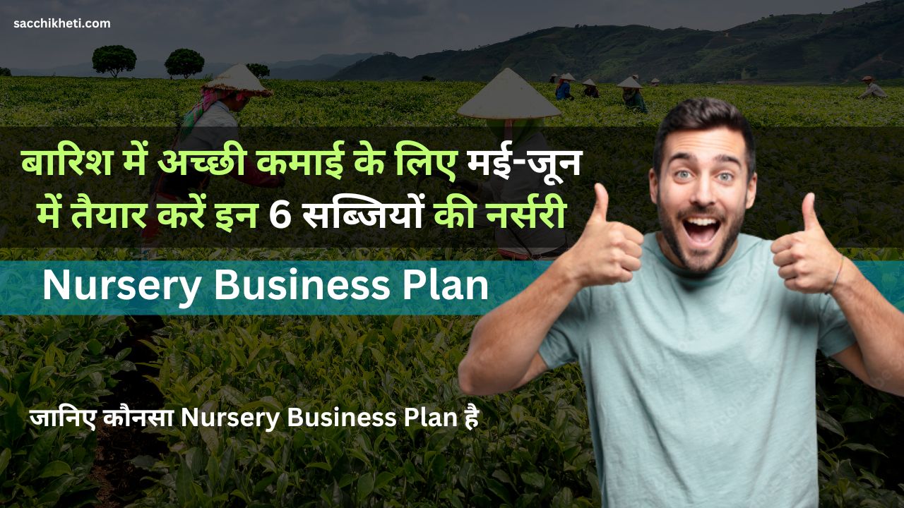 Nursery Business Plan: बारिश में अच्छी कमाई के लिए मई-जून में तैयार करें इन 6 सब्जियों की नर्सरी