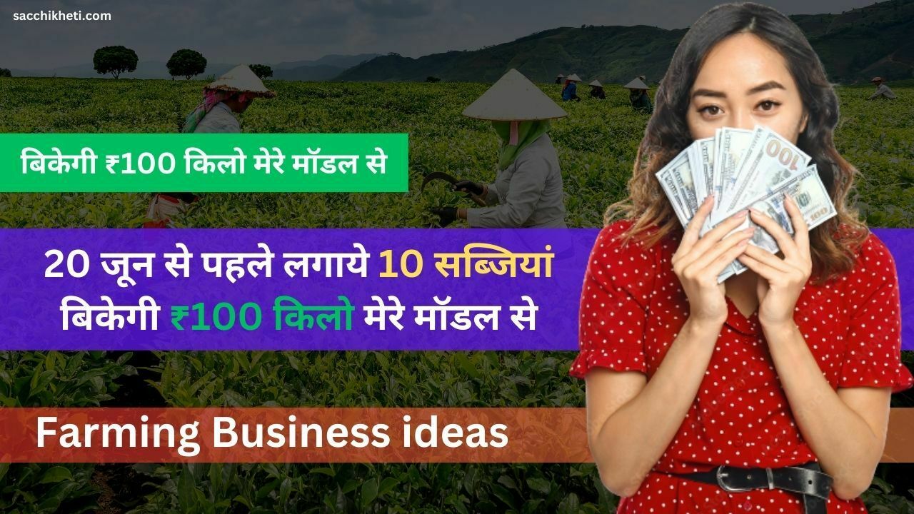 Farming Business ideas: 20 जून से पहले लगाये 10 सब्जियां बिकेगी ₹100 किलो मेरे मॉडल से