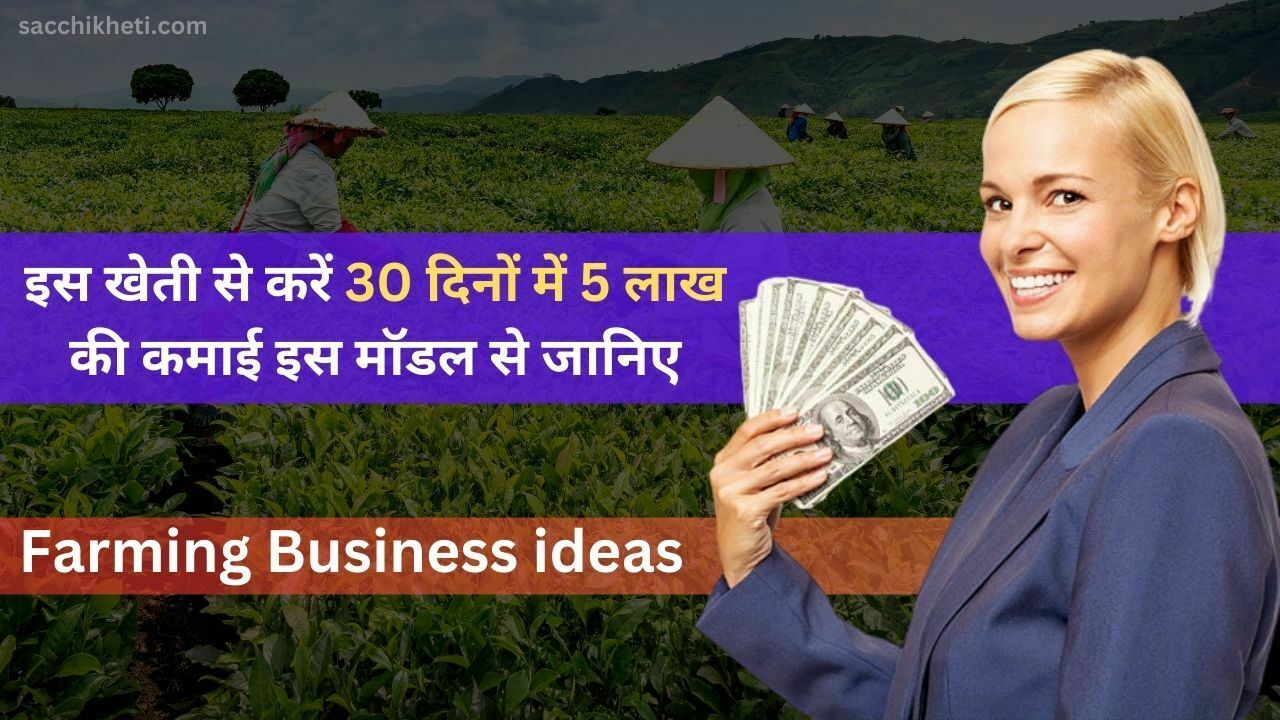 Farming Business ideas: इस खेती से करें 30 दिनों में 5 लाख की कमाई इस मॉडल से जानिए