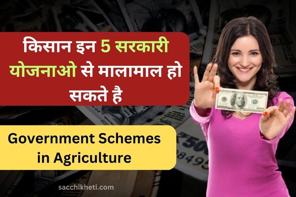 Government Schemes in Agriculture: किसान इन 5 सरकारी योजनाओ से मालामाल हो सकते है