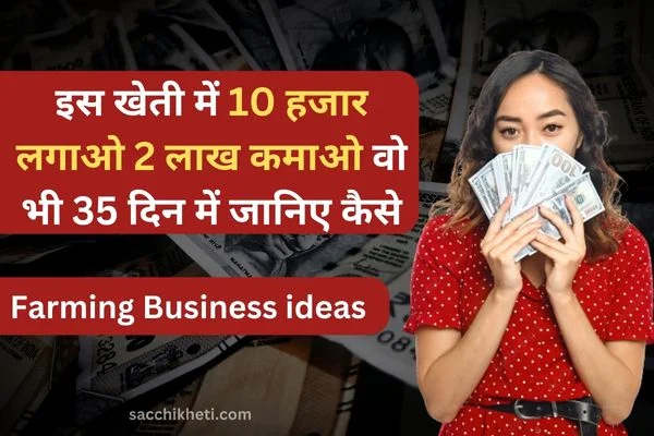 Farming Business ideas: इस खेती में 10 हजार लगाओ 2 लाख कमाओ वो भी 35 दिन में जानिए कैसे