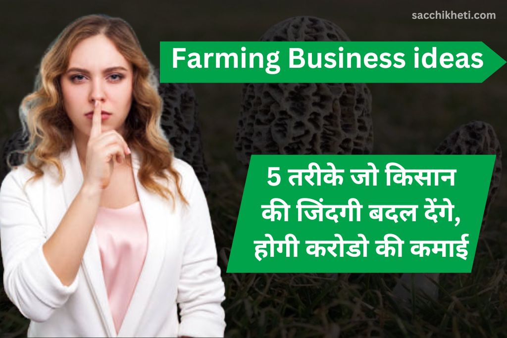 Farming Business ideas: 5 तरीके जो किसान की जिंदगी बदल देंगे, होगी करोडो की कमाई