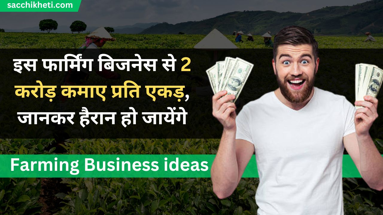 Farming Business ideas: इस फार्मिंग बिजनेस से 2 करोड़ कमाए प्रति एकड़, जानकर हैरान हो जायेंगे