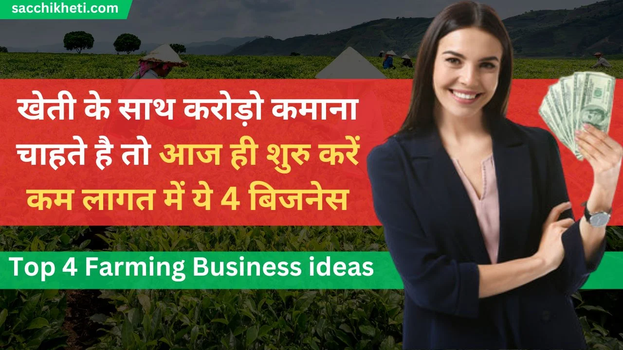 Top 4 Farming Business ideas: खेती के साथ करोड़ो कमाना चाहते है तो आज ही शुरु करें कम लागत में ये 4 बिजनेस