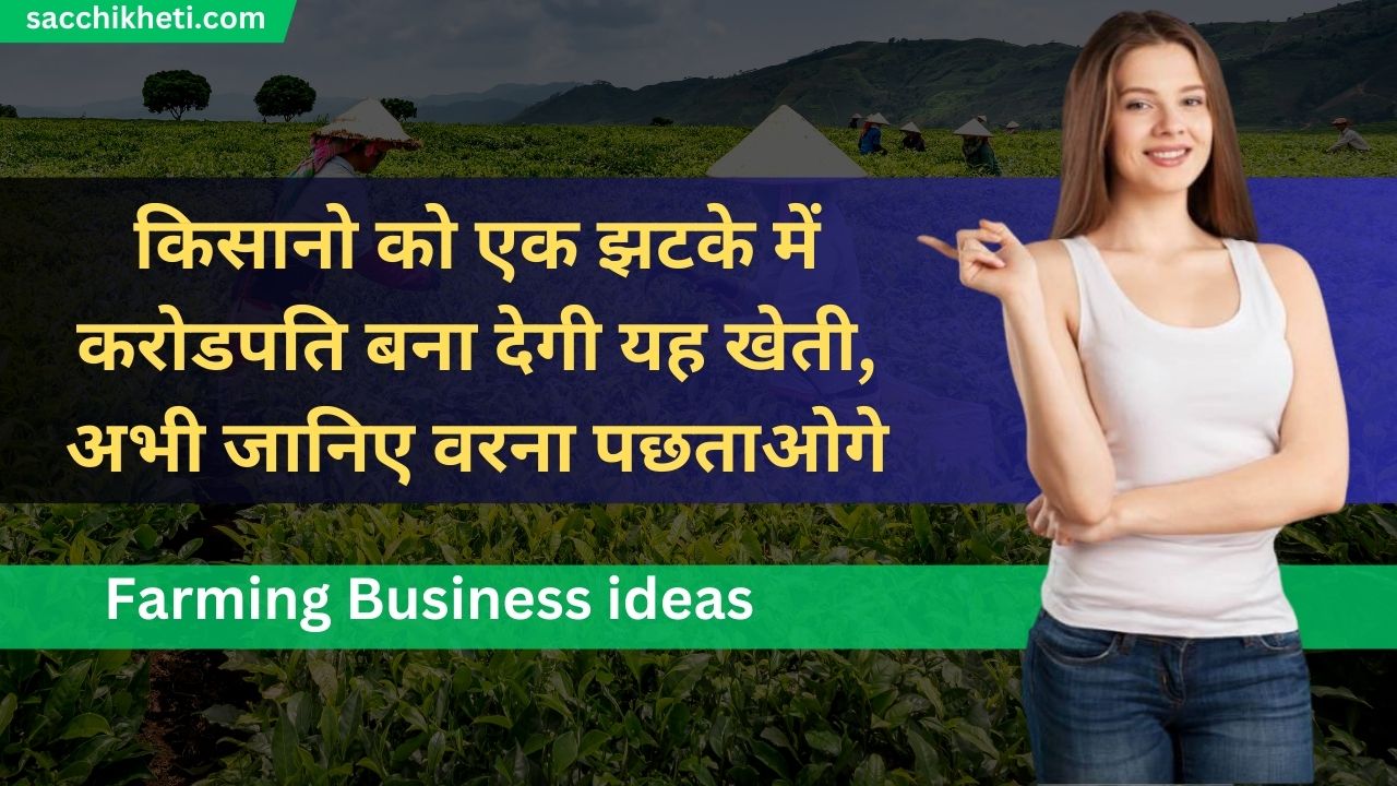 Farming Business ideas: किसानो को एक झटके में करोडपति बना देगी यह खेती, अभी जानिए वरना पछताओगे
