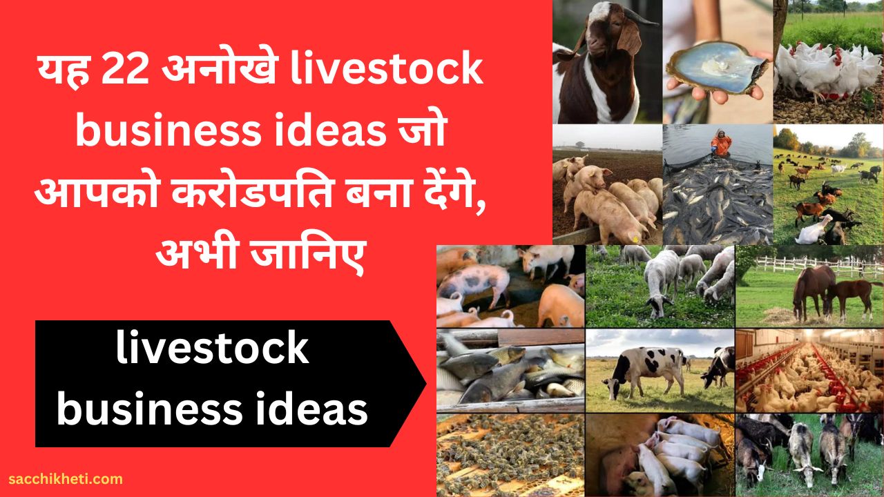 यह 22 अनोखे livestock business ideas जो आपको करोडपति बना देंगे, अभी जानिए