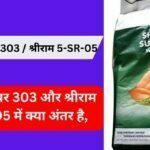 श्रीराम सुपर 303 और श्रीराम 5-SR-05 में क्या अंतर है, 2025 में ये 2 किस्मो में से गेंहु की डबल पैदावार कौन देगा