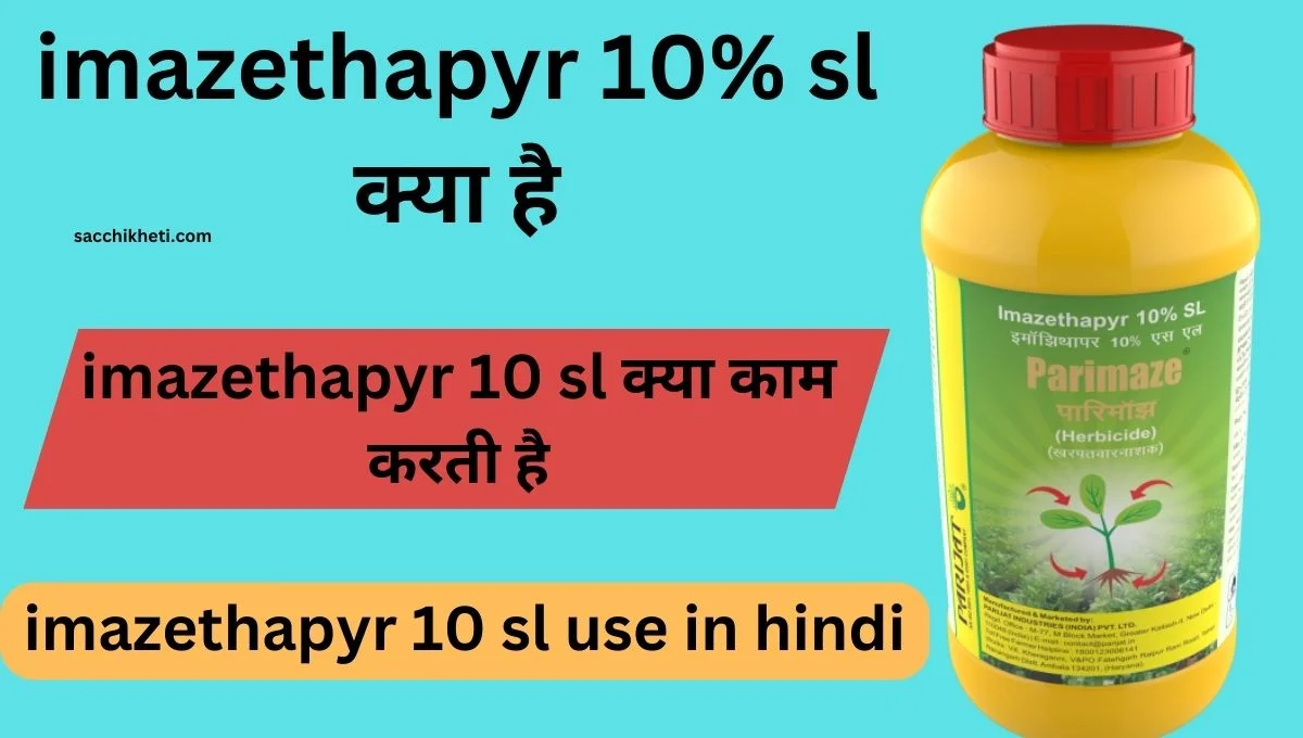 imazethapyr 10 sl use in hindi | imazethapyr 10% sl क्या है