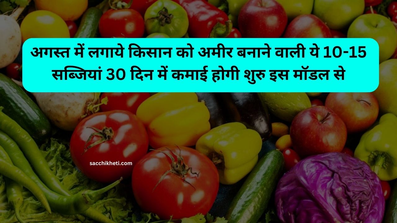 अगस्त में लगाये किसान को अमीर बनाने वाली ये 10-15 सब्जियां 30 दिन में कमाई होगी शुरु इस मॉडल से