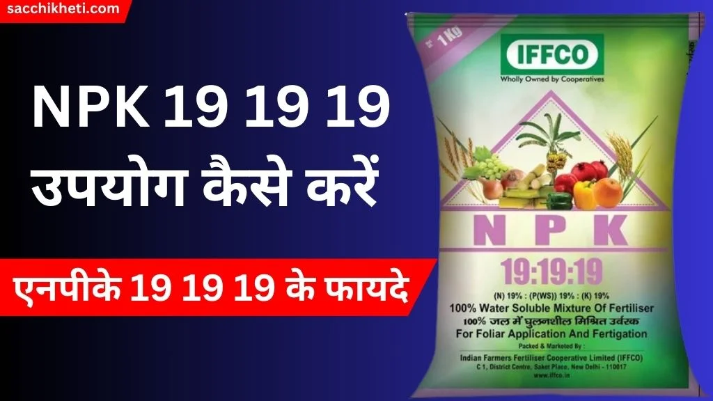 NPK 19 19 19 Uses in Hindi 2023 | एनपीके 19 19 19 के फायदे