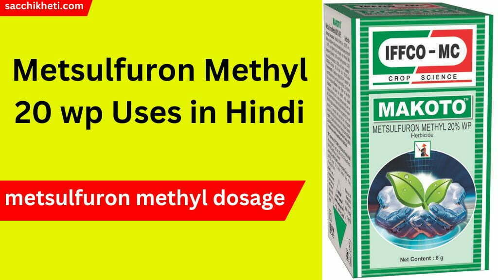 Metsulfuron Methyl 20 wp Uses in Hindi 2025 - मेटसल्फ्यूरॉन मिथाइल हर्बिसाइड का उपयोग कैसे करें?