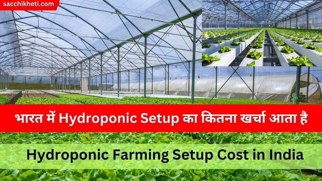 Hydroponic Farming Setup Cost in India 2023 | भारत में Hydroponic Setup का कितना खर्चा आता है