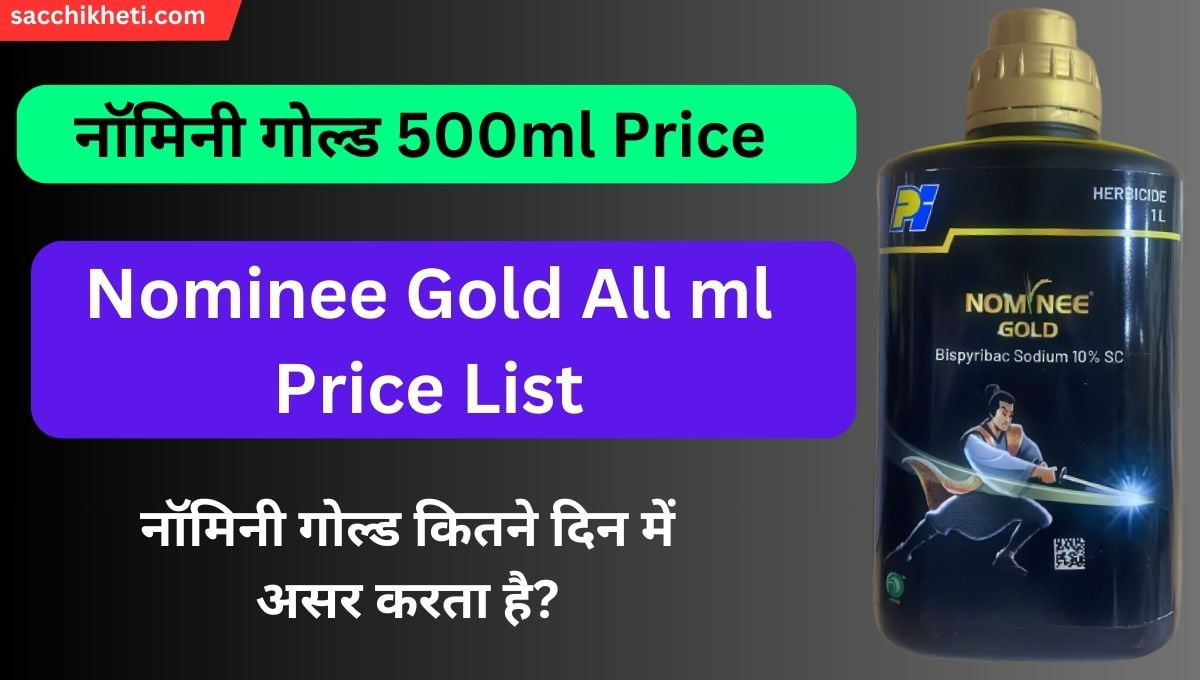 नॉमिनी गोल्ड 500ml Price 2023 | Nominee Gold 500ml Price