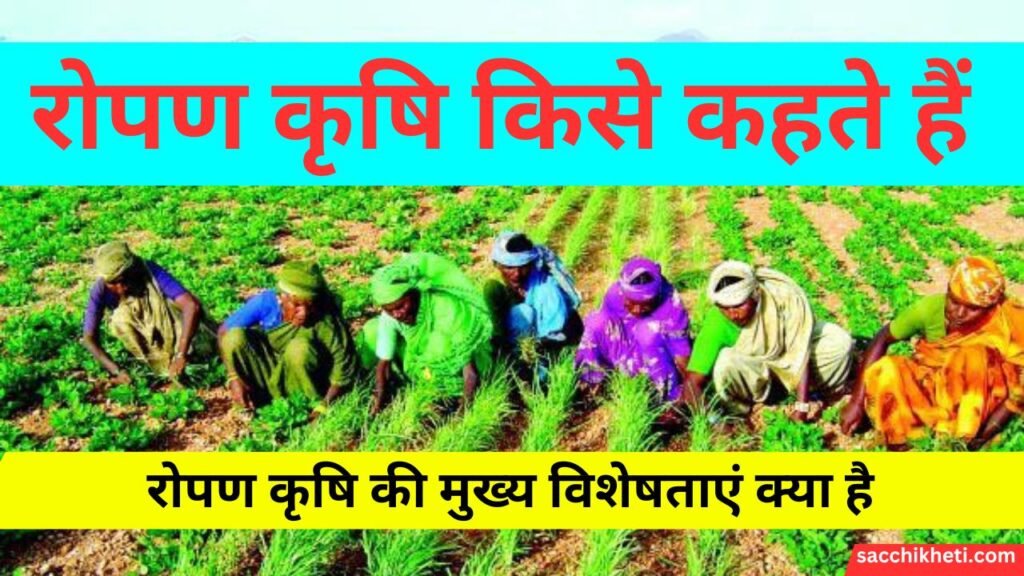 रोपण कृषि किसे कहते हैं 2023 | Ropan Krishi Kya Hai