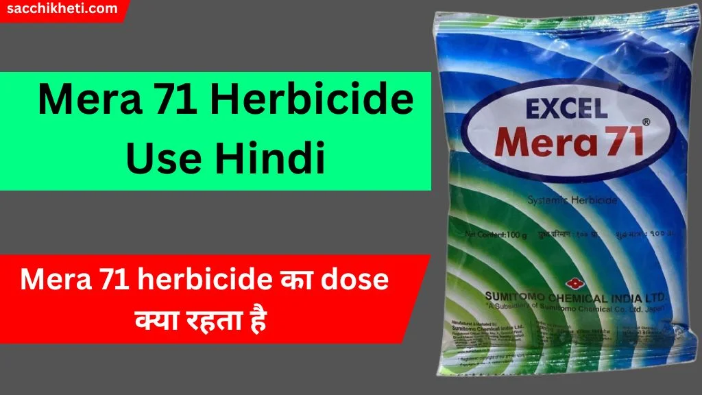 Mera 71 Herbicide Use Hindi 2023 | एक्सेल मीरा 71 बेस्ट खरपतवार नाशक दवा