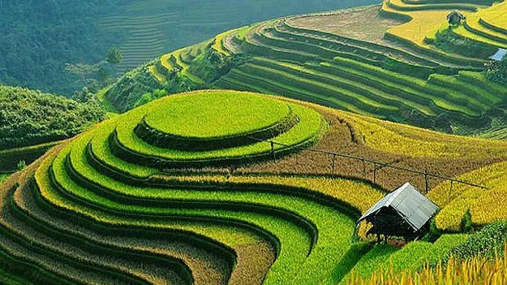 Terrace Farming Meaning in Hindi | क्या है सीढ़ीदार खेती