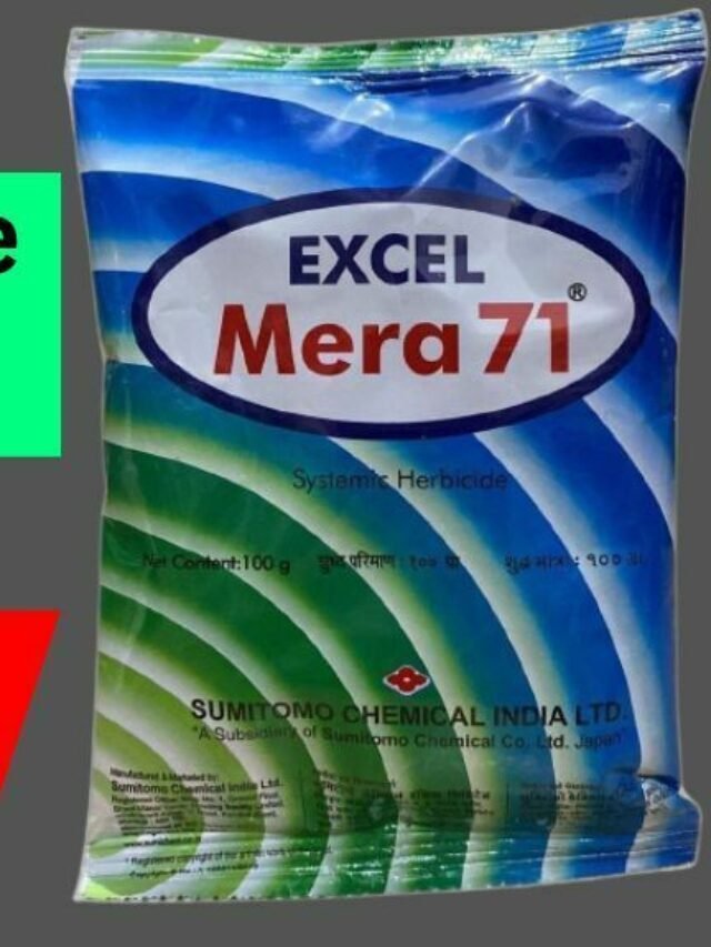 Mera 71 Herbicide Use Hindi 2023 | एक्सेल मीरा 71 बेस्ट खरपतवार नाशक दवा