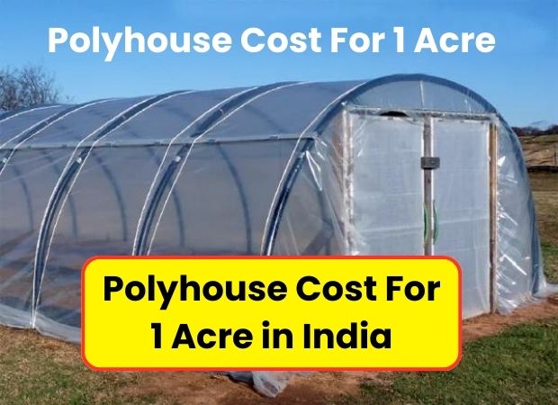 Polyhouse Cost For 1 Acre | Polyhouse Cost For 1 Acre in India