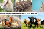 2025 के लिए ये 5 फार्मिंग बिजनेस मात्र 10,000 से शुरु करें | Farming Business Idea in India