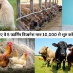 2025 के लिए ये 5 फार्मिंग बिजनेस मात्र 10,000 से शुरु करें | Farming Business Idea in India