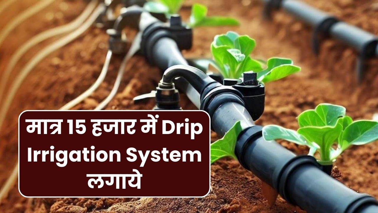 मात्र 15 हजार में Drip Irrigation System लगाने के पूरी जानकारी (1 एकड़ ड्रिप मॉडल)