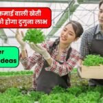 Farmer Business Ideas: 2024 में करें ये टॉप 10 कमाई वाली खेती जिससे आपको होगा दुगुना लाभ