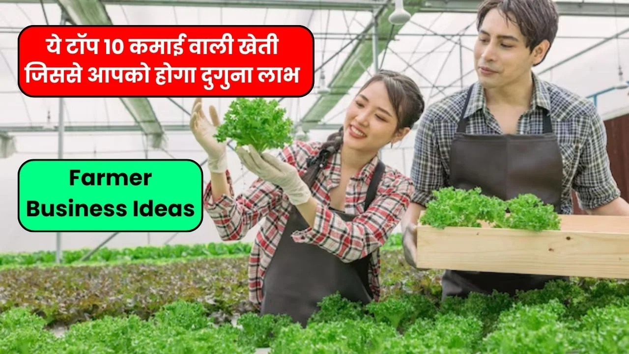 Farmer Business Ideas: 2024 में करें ये टॉप 10 कमाई वाली खेती जिससे आपको होगा दुगुना लाभ