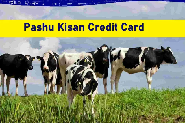 पशु किसान क्रेडिट कार्ड 2024 | पशु किसान क्रेडिट कार्ड कैसे बनवाये ( Pashu Kisan Credit Card Apply Online )