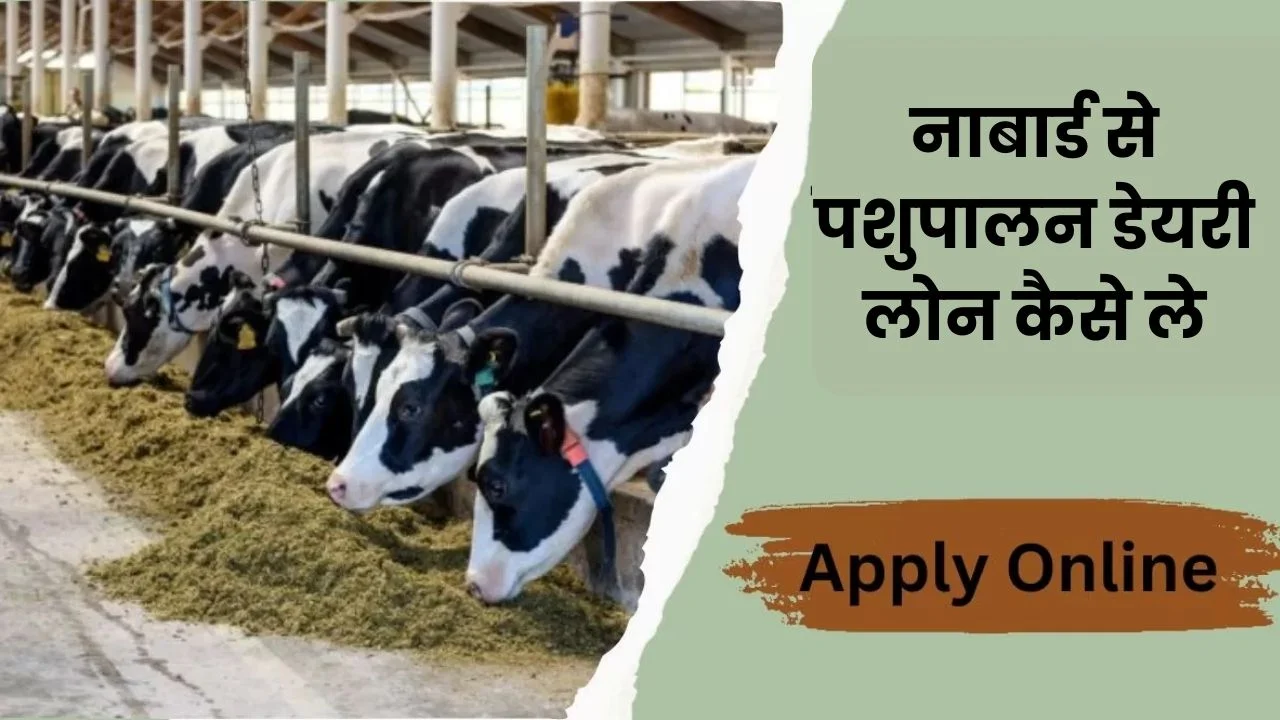 2025 में नाबार्ड से पशुपालन डेयरी लोन कैसे ले | NABARD Dairy Loan Apply Online