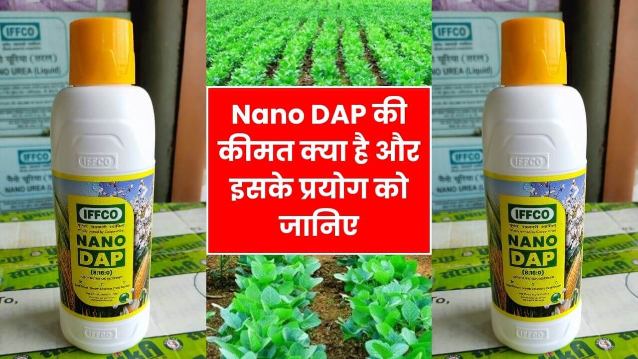 Nano DAP की कीमत क्या है और इसके प्रयोग को जानिए | nano dap price in india