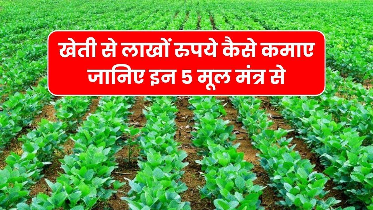 खेती से लाखों रुपये कैसे कमाए जानिए इन 5 मूल मंत्र से | Kheti Se Paise Kaise Kamaye