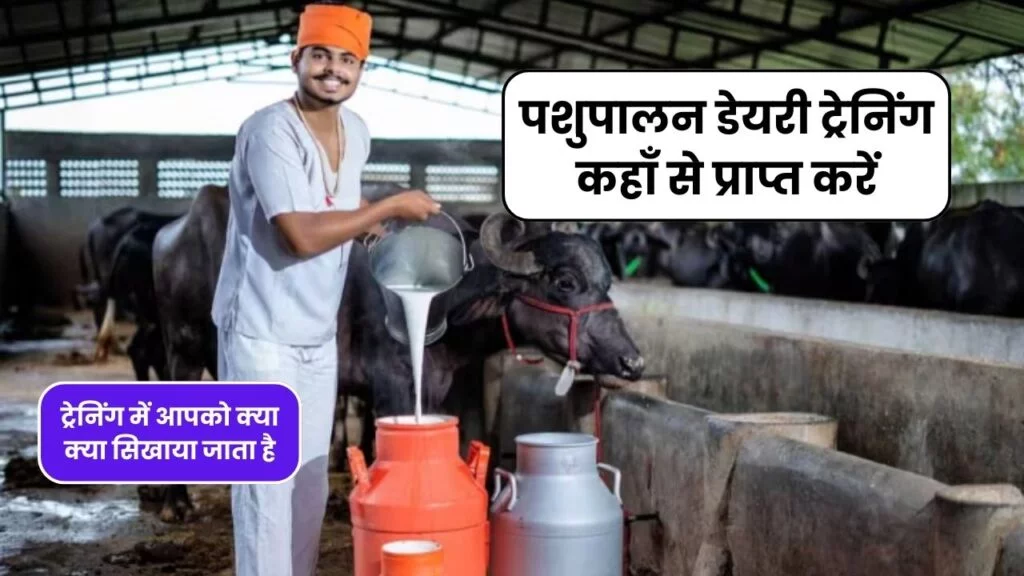 पशुपालन डेयरी ट्रेनिंग कहाँ से प्राप्त करें, ट्रेनिंग में आपको क्या क्या सिखाया जाता है ?