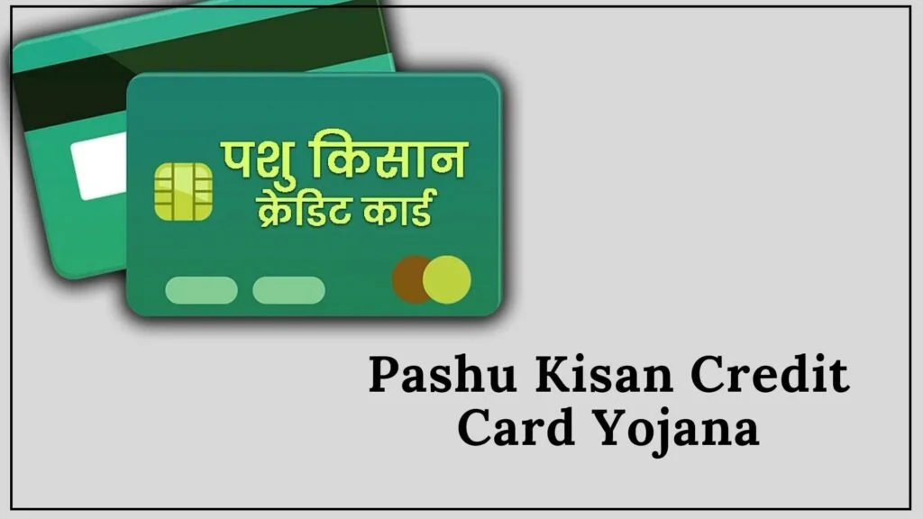 पशु किसान क्रेडिट कार्ड कैसे बनवाएं 2024 | Pashu Kisan Credit Card Apply Online