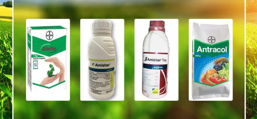 फंगीसाइड दवाओं के नाम | Fungicides List in Hindi