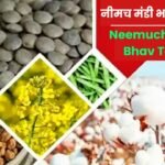 नीमच मंडी भाव | नीमच मंडी भाव आज का | Neemuch Mandi Bhav Today