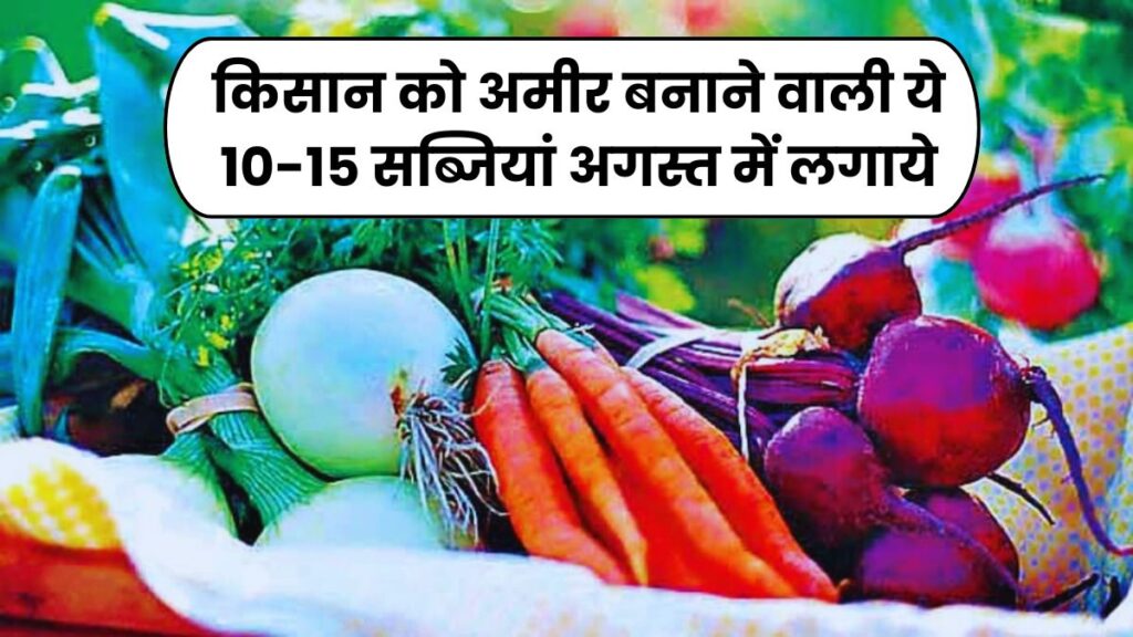 किसान को अमीर बनाने वाली ये 10-15 सब्जियां अगस्त में लगाये, 30 दिन में कमाई होगी शुरु इस मॉडल से