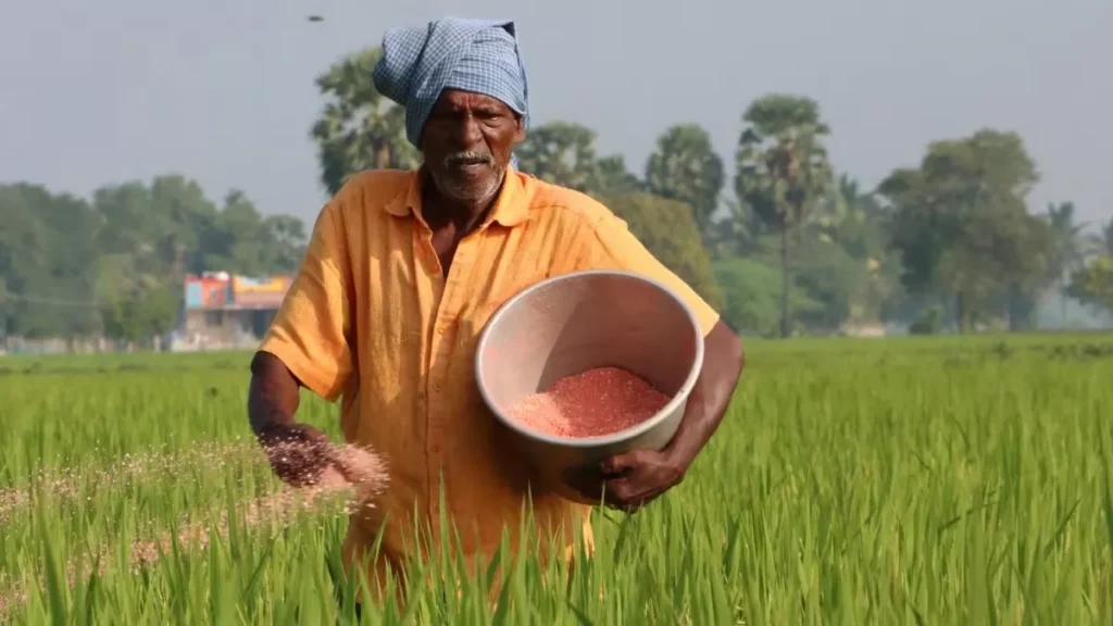 फर्टिलाइजर सब्सिडी किसानों के बैंक अकाउंट में सीधे आएगी, बड़ा कदम उठाने की तैयारी में सरकार