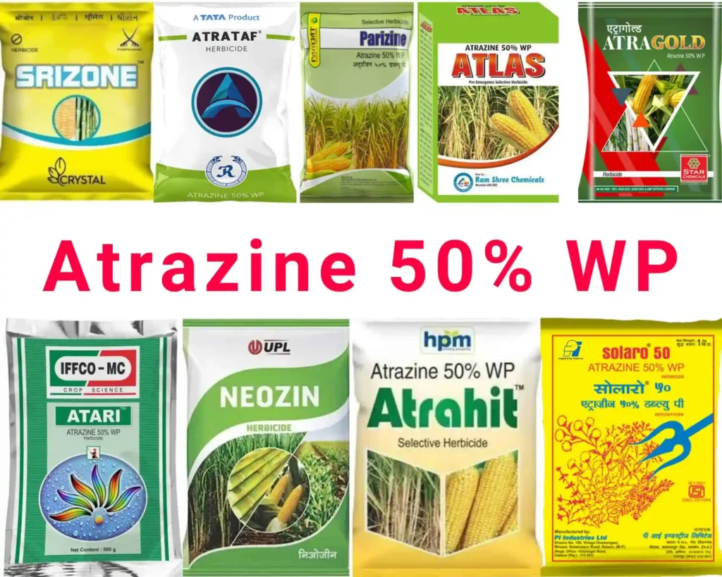 Atrazine 50 WP के उपयोग, खुराक और विधि जानिए, एट्राजीन 50 डब्ल्यूपी से खरपतवार नियंत्रण का सबसे असरदार तरीका जानें