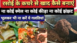 घर पर मुफ्त में बनाएं बेहतरीन ऑर्गैनिक खाद, किचन वेस्ट से खाद बनाने का आसान तरीका