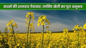 हरियाणा के किसान कुलदीप भाई की सरसों की शानदार पैदावार: जानिए खेती का पूरा अनुभव हरियाणा के किसान कुलदीप भाई की सरसों की शानदार पैदावार: जानिए खेती का पूरा अनुभव