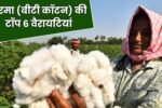 2025 में नरमा (बीटी कॉटन) की टॉप 6 वैरायटियां, मिट्टी के अनुसार सही चुनाव करें